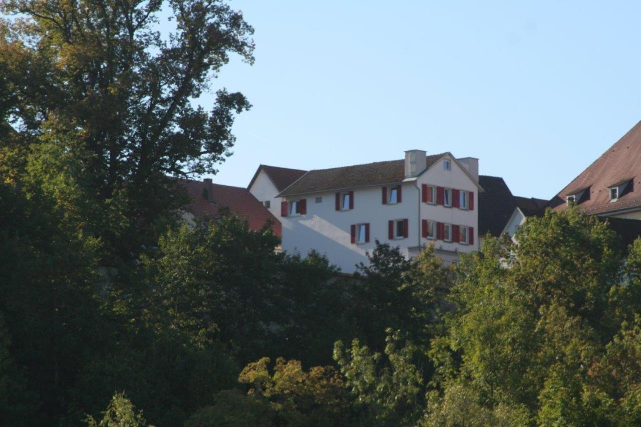 Hotel Gaestehaus Theresia Garni Muhlheim an der Donau Bagian luar foto