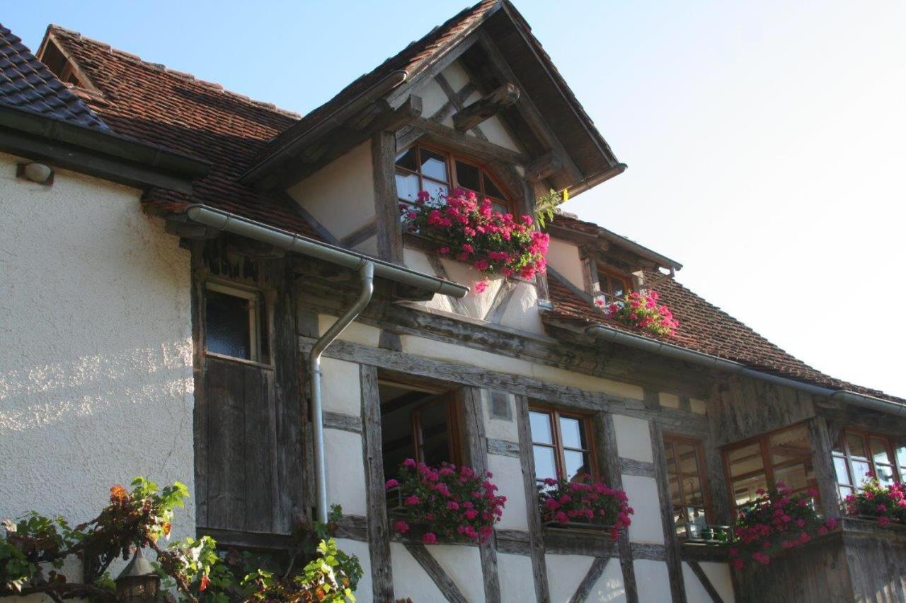Hotel Gaestehaus Theresia Garni Muhlheim an der Donau Bagian luar foto