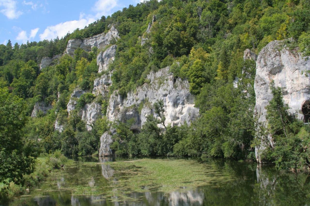 Hotel Gaestehaus Theresia Garni Muhlheim an der Donau Bagian luar foto